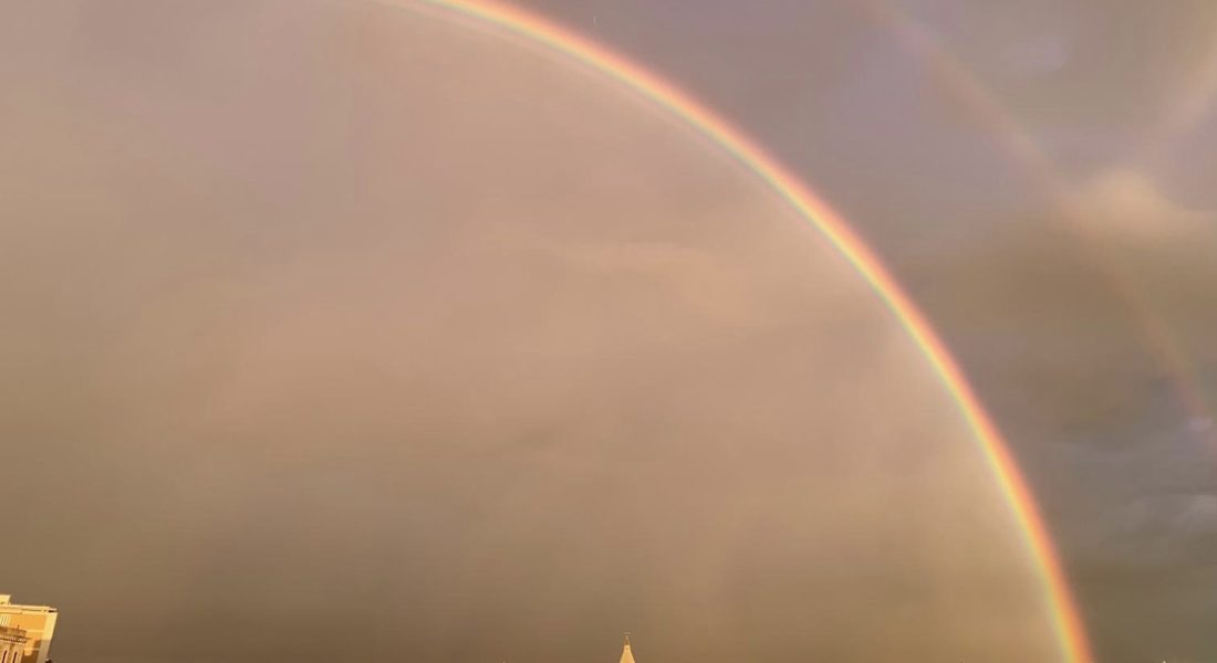57c3da06-a5d3-4527-8c53-5ea19fd7b323